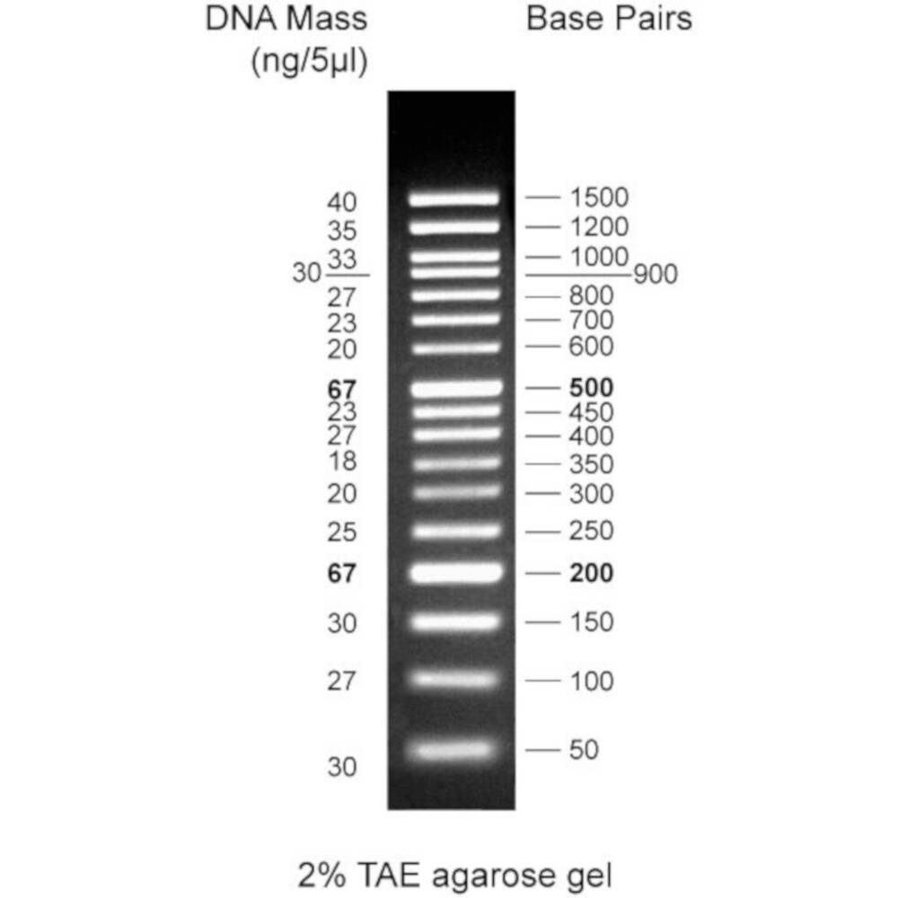 50bp DNA Ladder, 50bp-1500bp, 500uL
